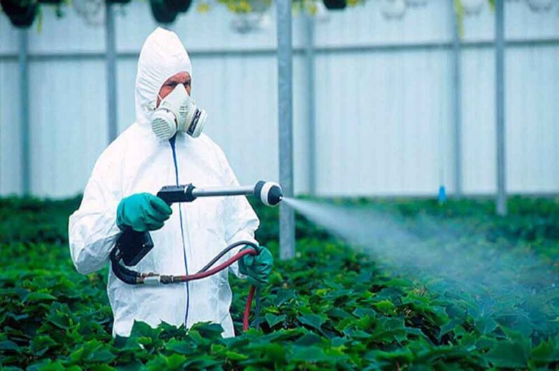  أنواع المبيدات الزراعية وفوائدها واضرارها