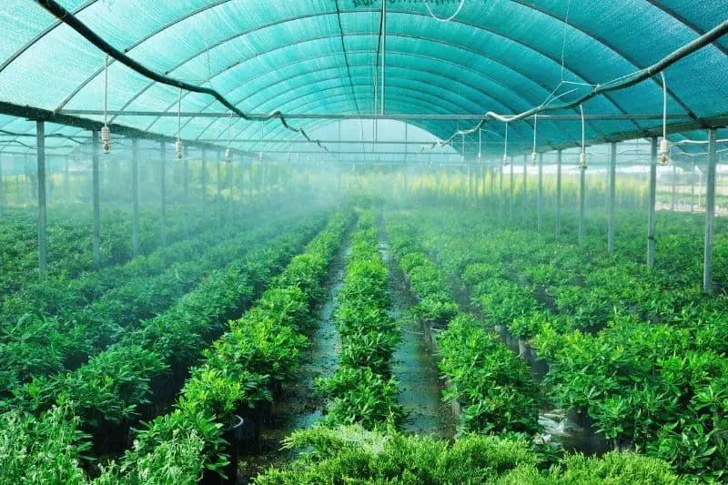 تكلفة البيوت المحمية في السعودية