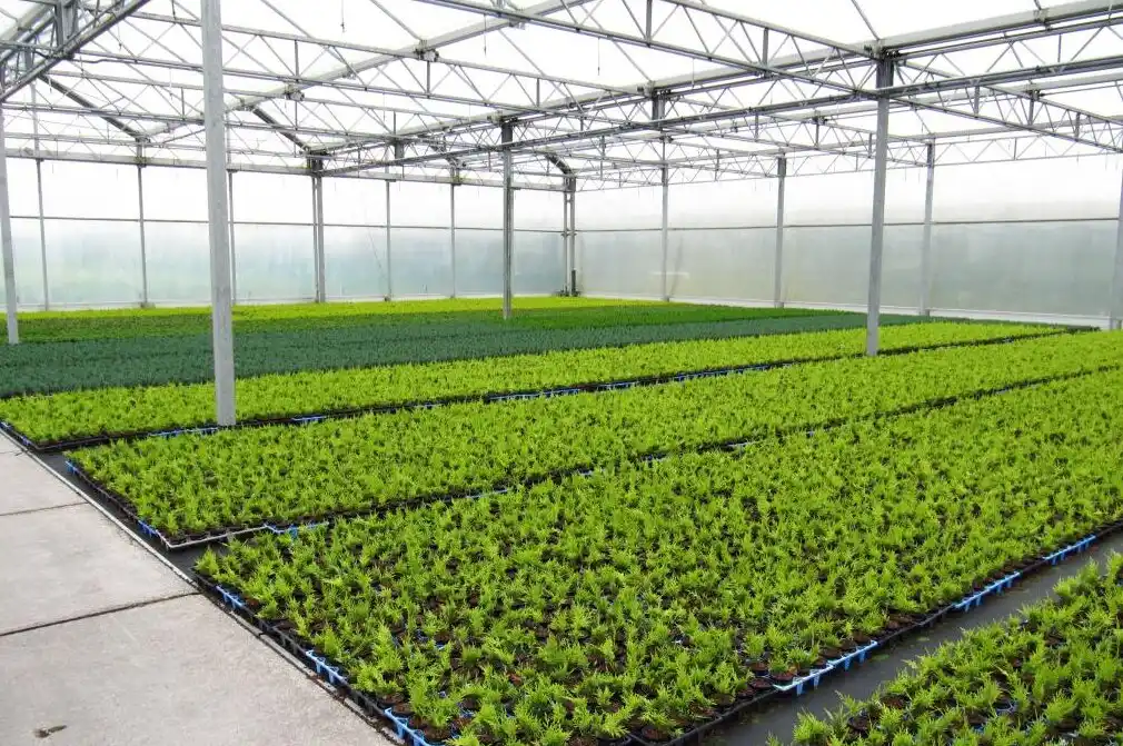 احصائيات الزراعة في السعودية