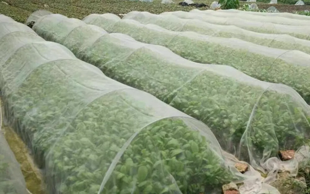 اسعار الشبك الزراعي