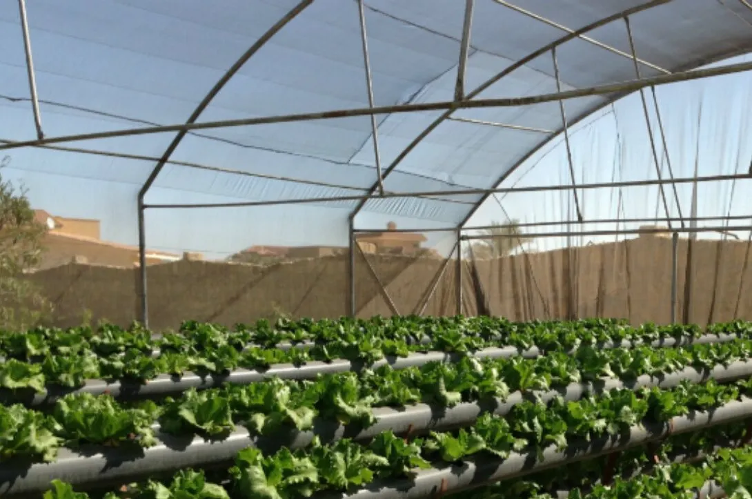 تركيب شبوك مزارع