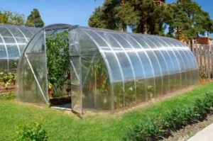 عمل محمية زراعية في المنزل