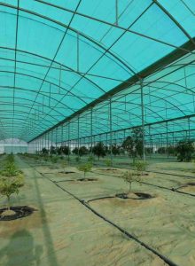 مشروع بيوت محمية للبيع - مصنع الروضة