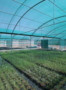 مشروع بيوت محمية للبيع - مصنع الروضة