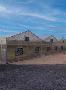 مشروع بيوت محمية للبيع - مصنع الروضة