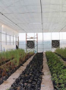 مشروع بيوت محمية للبيع - مصنع الروضة