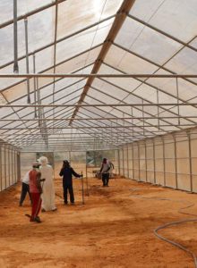 مشروع بيوت محمية للبيع - مصنع الروضة