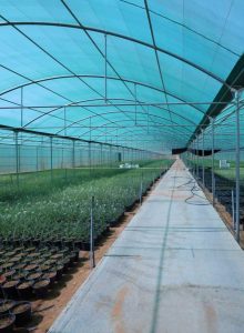 مشروع بيوت محمية للبيع - مصنع الروضة